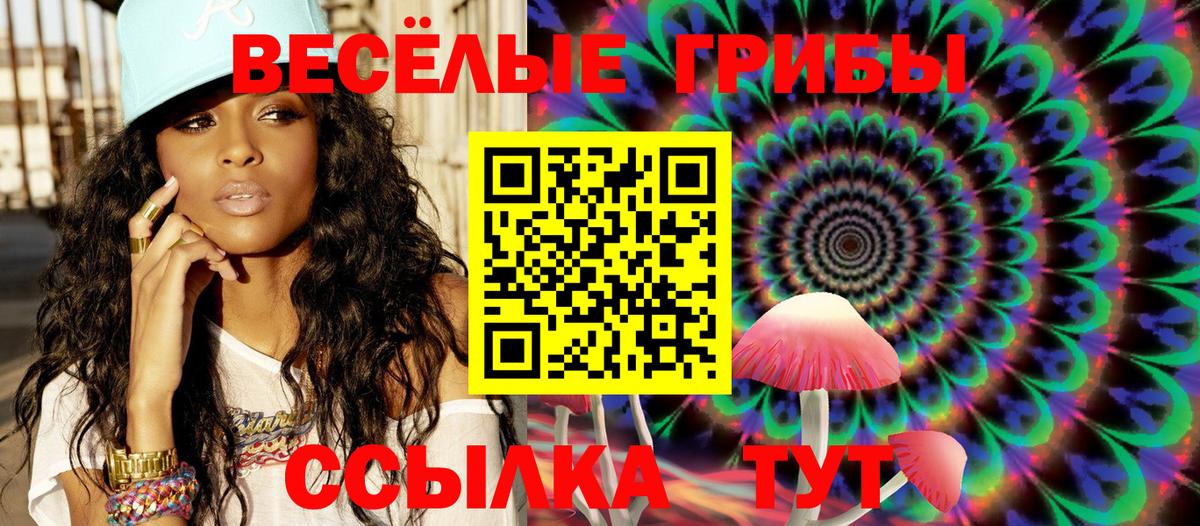 Маркс  Псилоцибиновые грибы Psilocybine cubensis  Вход с VPN 